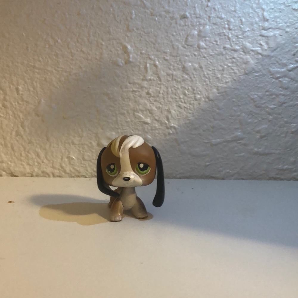 Lps dog
